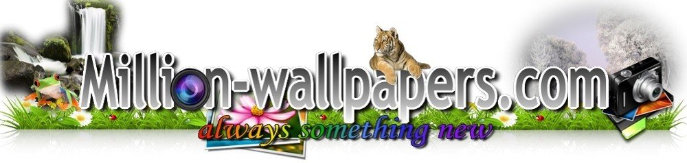 Tapety HD na laptopy i smartfony z million-wallpapers.com