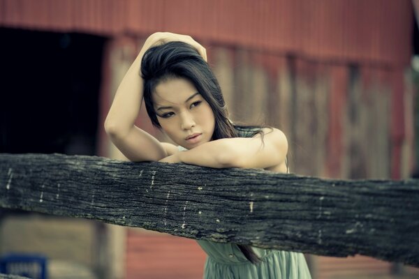 Dziewczyna Brunetka Azjatka pozuje