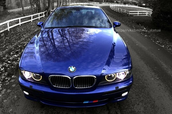 Piękne niebieskie BMW w jesiennym parku