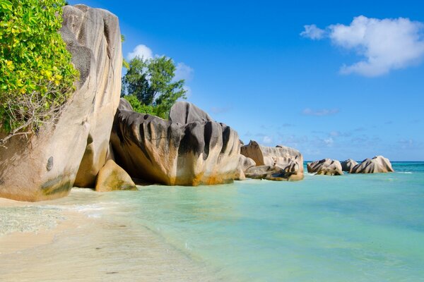 Krajobraz przyrody w tropikach