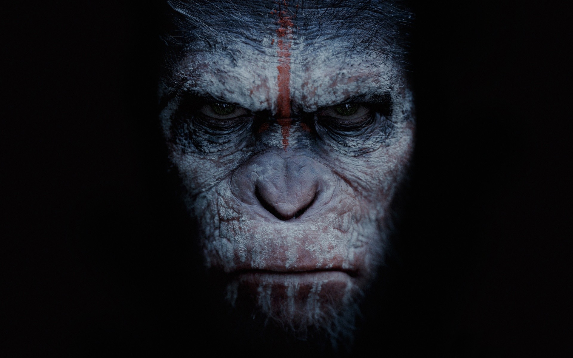 planeta małp rewolucja gatunek zwierzęta fantastyka małpa