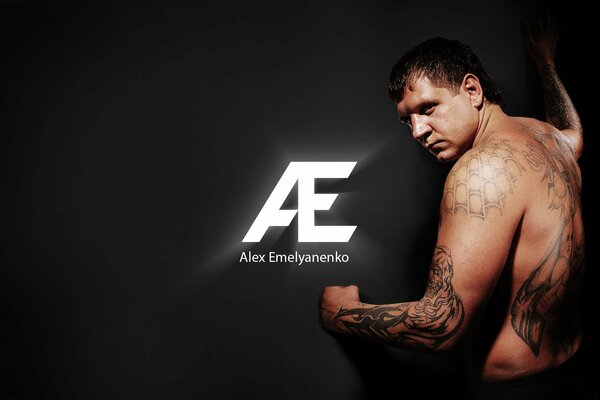 Aleksander Emelianenko w mieszanych sztukach walki